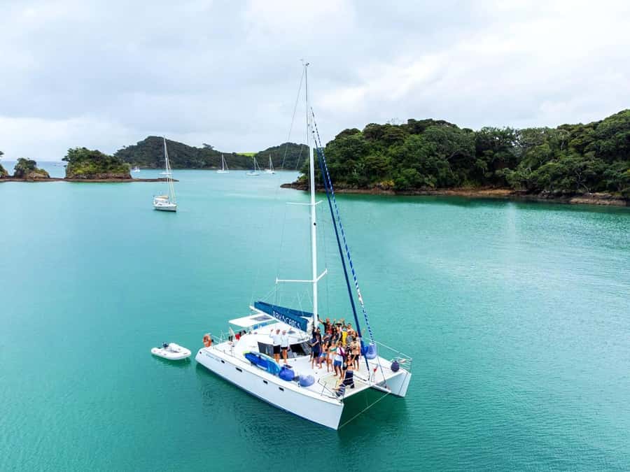 Day Sailing Charter on Catamaran with Lunch : Bay Of Islands - Sailing Back Through The Bay