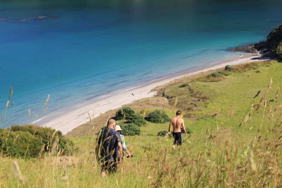 Day Sailing Charter on Catamaran with Lunch : Bay Of Islands - Is $126 Good Value?