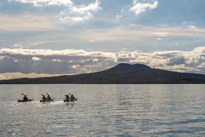 Day sea kayak tour Rangitoto Island - A Kiwi BBQ beside the water