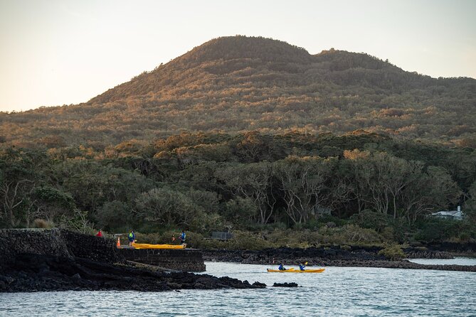 Day sea kayak tour Rangitoto Island - Who should book this Rangitoto adventure?