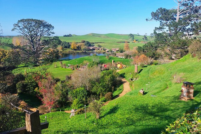 Day Tour Hobbiton + Rotorua from Auckland in Luxury Minibus - Rotorua sightseeing and the return journey