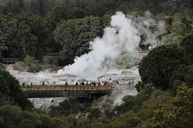 Day Tour Hobbiton + Rotorua from Auckland in Luxury Minibus - Guides make or break a long day