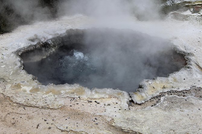 Day Tour Hobbiton + Rotorua from Auckland in Luxury Minibus - What to bring and what to expect