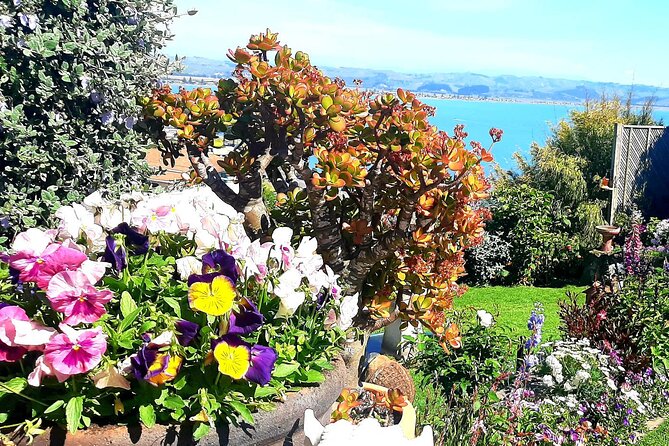 Deco Napier, Te Mata Peak, Garden Walk and Wine Tasting Tour - Why this three-hour route works