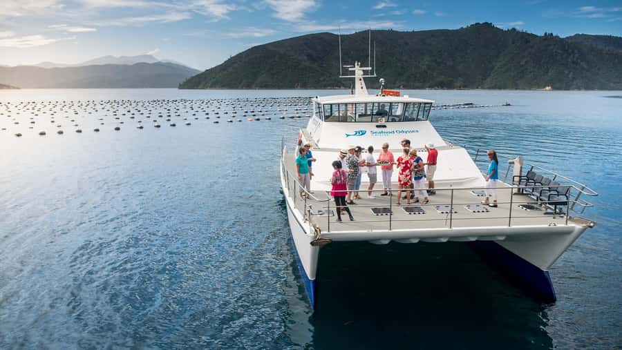 Depart Picton: Marlborough Sounds Afternoon Seafood Cruise - Sailing out from Picton Marina