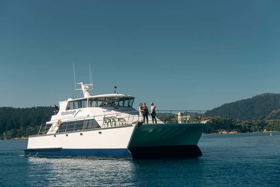 Depart Picton: Marlborough Sounds Afternoon Seafood Cruise - Is $92 a fair price?