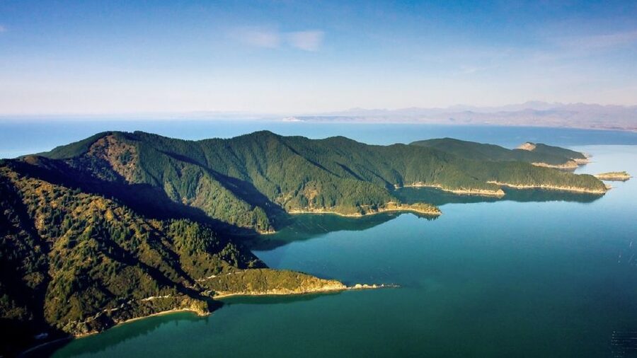 Depart Picton: Marlborough Sounds Afternoon Seafood Cruise - Timing matters if you have a ship to catch