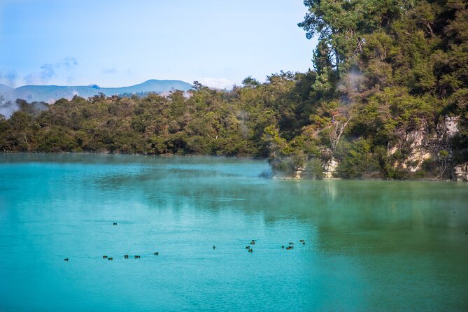 Devil's Bath Experience - Private Tour to Wai-O-Tapu & Lake Taupo - Honey tasting at Huka Honey Hive
