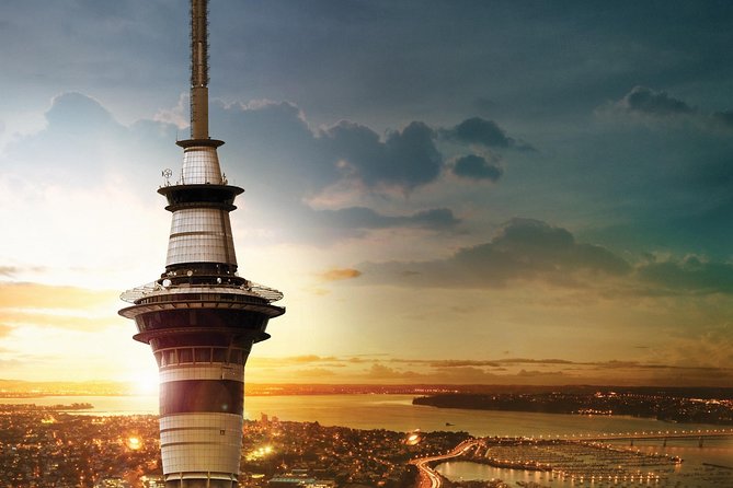 Discover Auckland City Tour: The City of Sails - Mount Eden gives you the final high view