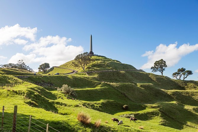 Discover Auckland City Tour: The City of Sails - What the vehicle and group size mean for you