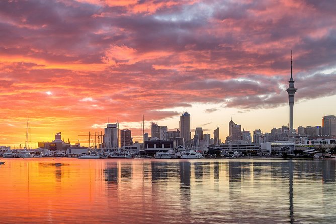 Discover Auckland City Tour: The City of Sails - Who will get the most from this tour?