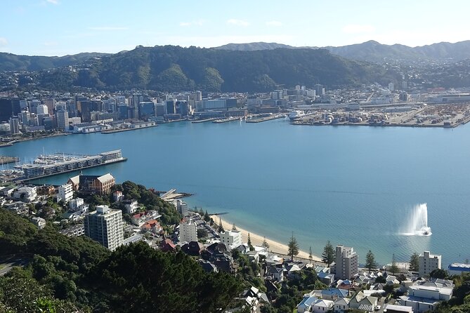 Discover Wellington 3 hour City Tour - At a glance