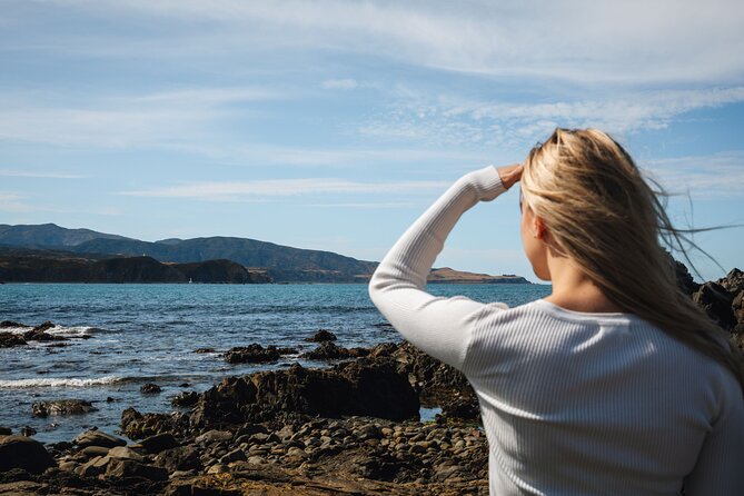 Discover Wellington 3 hour City Tour - South Coast views at Wahine Memorial Park