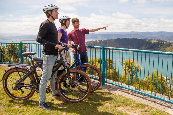 Discover Wellington 3 hour City Tour - Mount Victoria Lookout and the city below