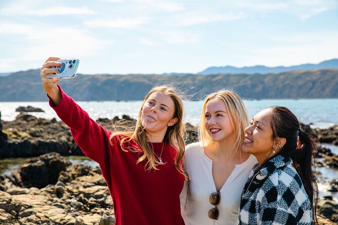 Discover Wellington 3 hour City Tour - Courtenay Place, Cuba Street and the Bucket Fountain