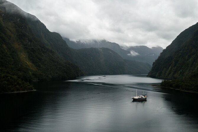 Doubtful Sound Overnight Cruise - Wildlife sightings require patience