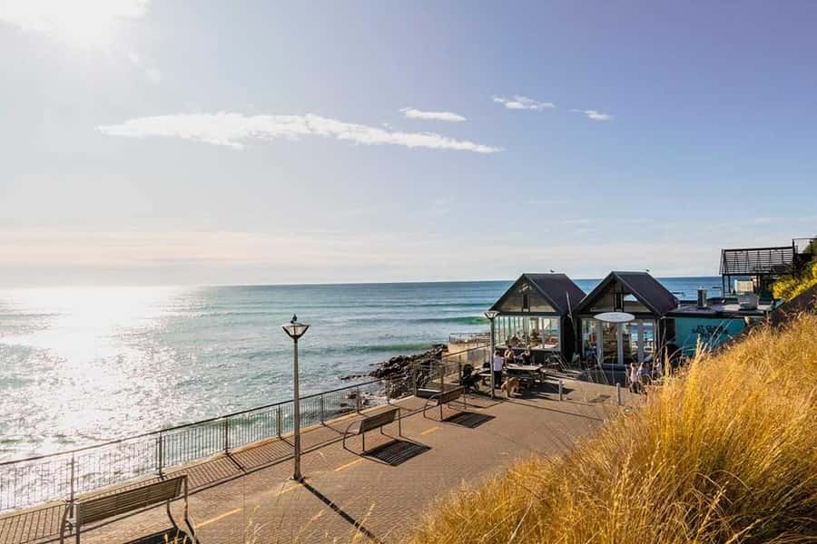 Dunedin: 3 Hour Artisan Food Walking Tour - Starting with Dunedin’s oldest fish and chip shop