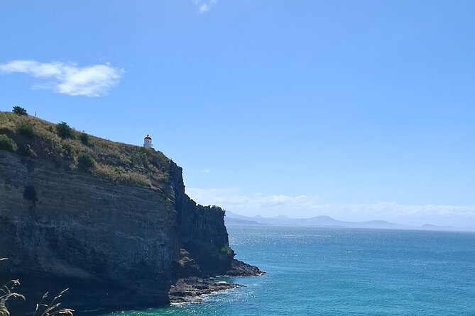 Dunedin and Otago Peninsula Private Tours Up to 4 people - Key points at a glance