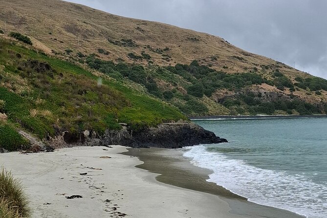 Dunedin and Otago Peninsula Private Tours Up to 4 people - Sandfly Bay and the wild edge of the peninsula