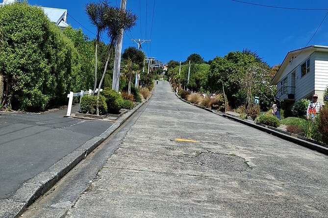 Dunedin and Otago Peninsula Private Tours Up to 4 people - Larnach Castle adds history, gardens, and a fee