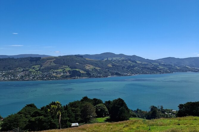 Dunedin and Otago Peninsula Private Tours Up to 4 people - Taiaroa Head and the Royal Albatross Centre