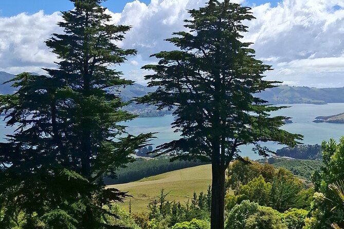 Dunedin and Otago Peninsula Private Tours Up to 4 people - St Clair Beach, Botanic Garden, and Port Chalmers