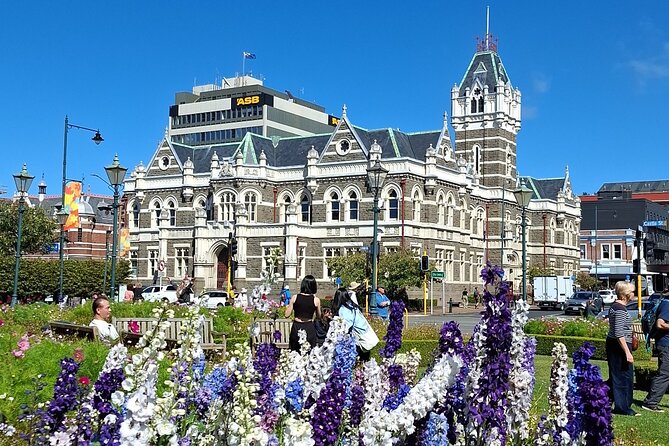Dunedin and Otago Peninsula Private Tours Up to 4 people - Dunedin’s grand buildings and famous steep street
