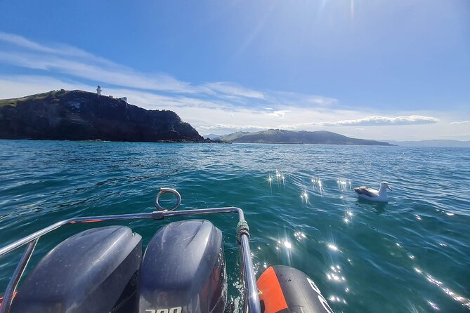 Dunedin City and Coastal Views 3-Hour Small-Group Guided Tour - Otago Peninsula brings harbour and coastal scenery