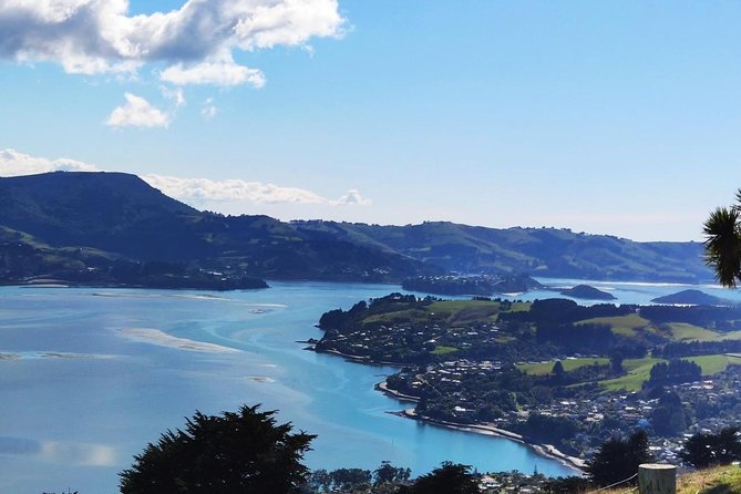 Dunedin City and Coastal Views 3-Hour Small-Group Guided Tour - The Octagon shows Dunedin at its civic center