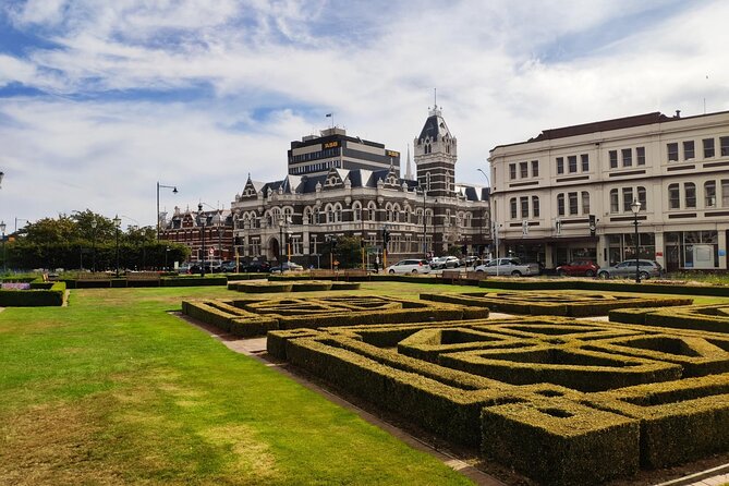 Dunedin City and Coastal Views 3-Hour Small-Group Guided Tour - Signal Hill gives you the big picture