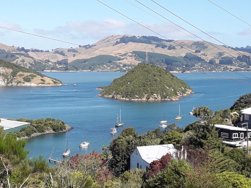 Dunedin: City Highlights and Otago Peninsula Scenery - Returning by the Lower Harbor Road