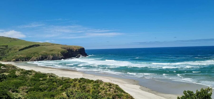 Dunedin City Highlights & Larnach Castle Tour - Why this tour works for a first look at Dunedin