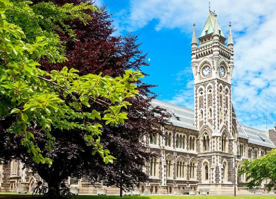 Dunedin City Highlights & Larnach Castle Tour - Signal Hill opens the view across Otago Harbour