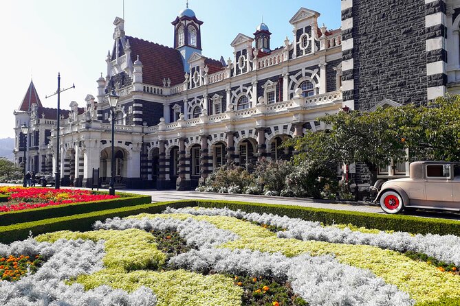 Dunedin City Highlights, Otago Peninsula Scenery & a Guided Penguin Reserve Tour - Dunedin’s architecture comes in quick glimpses