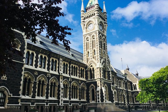 Dunedin City Highlights, Otago Peninsula Scenery & Albatross Guided Tour - Local guiding is the tour’s quiet strength