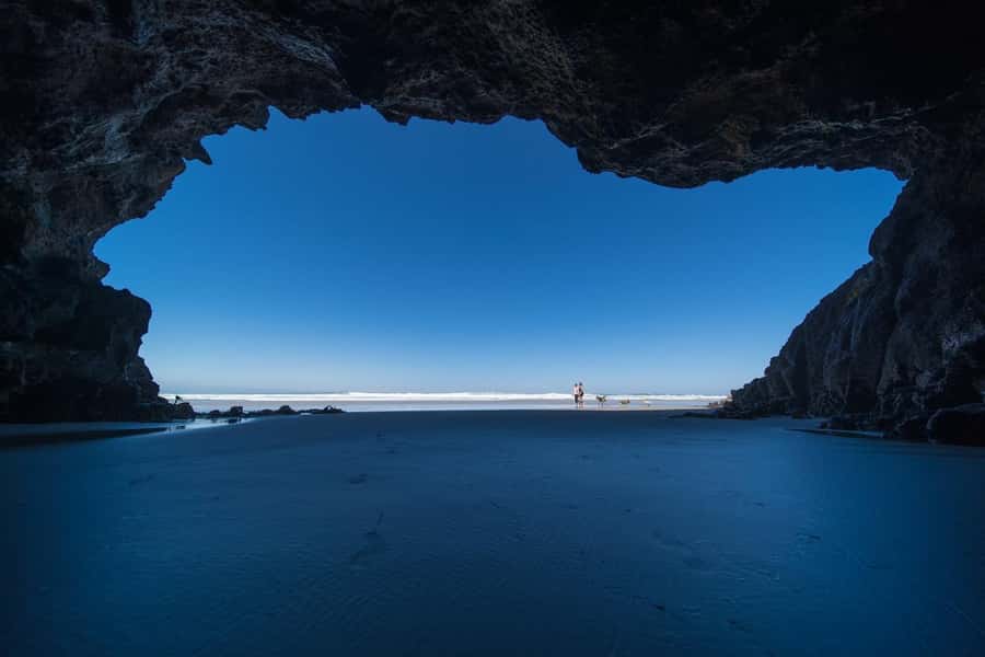 Dunedin City & Otago Peninsula Scenery Day Tour - Timing, cruise return, and practical limits