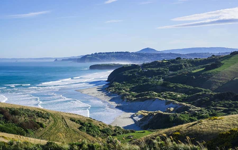 Dunedin City & Otago Peninsula Scenery Day Tour - Dunedin Railway Station and the city’s grandest photo stop