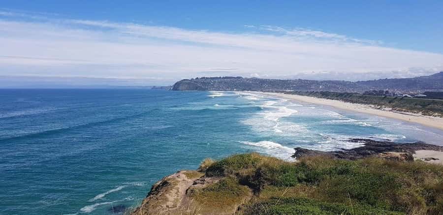 Dunedin City & Otago Peninsula Scenery Day Tour - Is $134 a fair price?