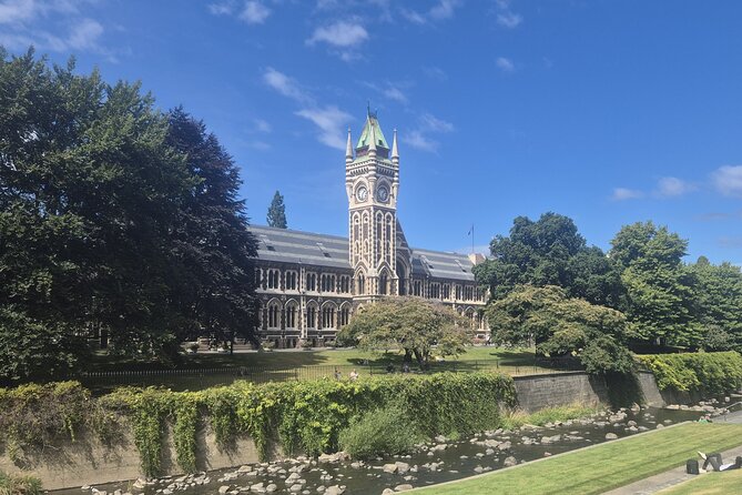 Dunedin City - Settlers & Voyages Tour - Why the Māori navigation story gives this tour a better beginning