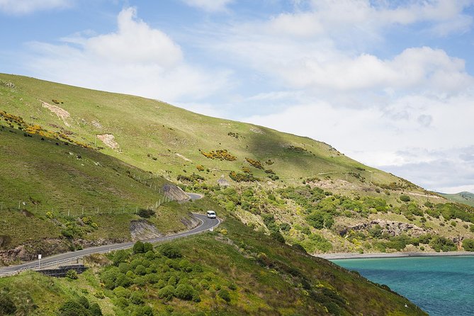 Dunedin City to Sea Wildlife Cruise + Peninsula Bus Tour - Food, comfort, and what to bring