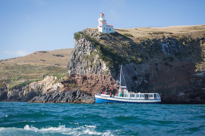 Dunedin City to Sea Wildlife Cruise + Peninsula Bus Tour - Cruising Otago Harbour toward Taiaroa Head
