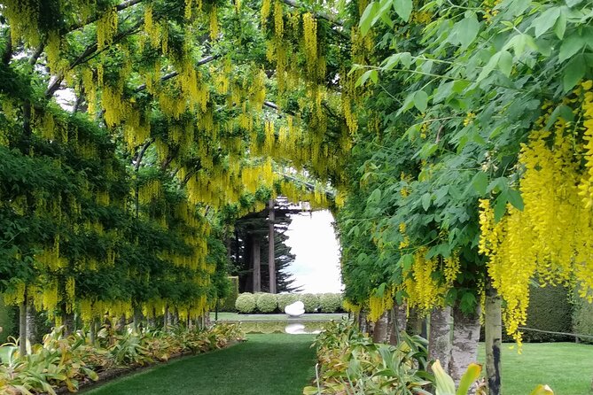 Dunedin City, Wildlife and Larnach Castle - Sandfly Bay and the open coast