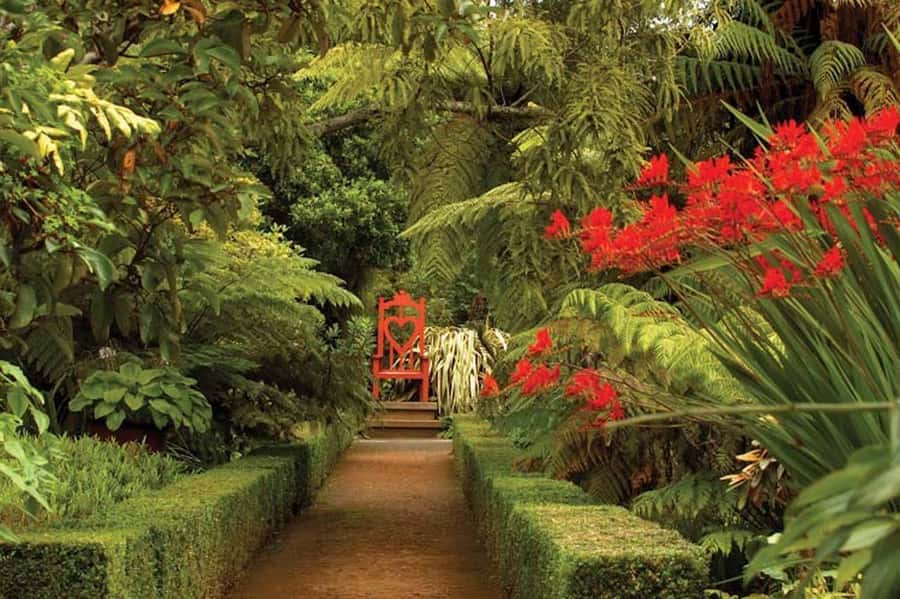 Dunedin: Larnach Castle & Gardens Admission Ticket - Climbing the historic tower