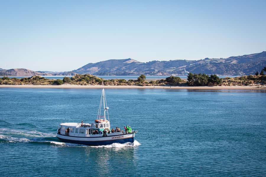 Dunedin: Monarch - One Hour Wildlife Cruise - Leaving Wellers Rock Wharf for the harbour entrance