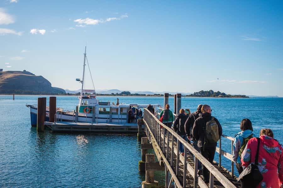 Dunedin: Monarch - One Hour Wildlife Cruise - Taiaroa Head lighthouse and volcanic cliffs