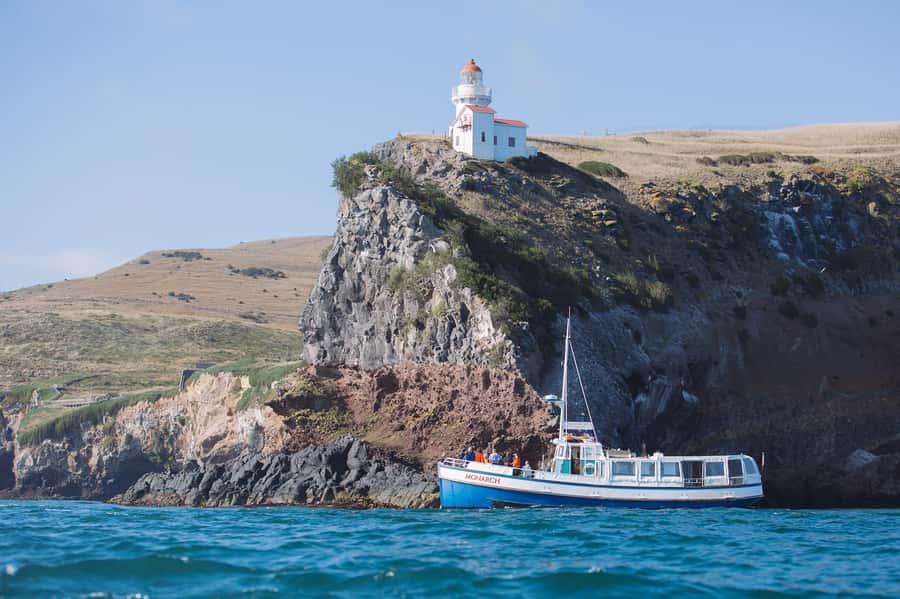 Dunedin: Monarch - One Hour Wildlife Cruise - The crew’s commentary adds real value