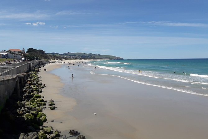 Dunedin Nature & City Tour – Full Day Cruise Excursion - Why this route works well from Port Chalmers