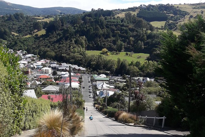 Dunedin Nature & City Tour – Full Day Cruise Excursion - Baldwin Street supplies the day’s most playful walk