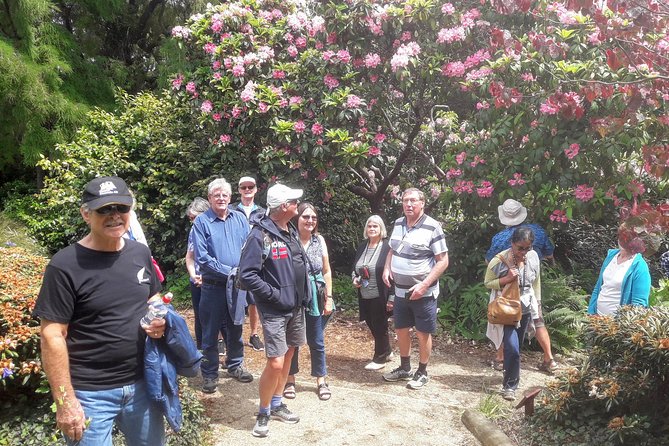 Dunedin Nature & City Tour – Full Day Cruise Excursion - Orokonui adds a native wildlife connection