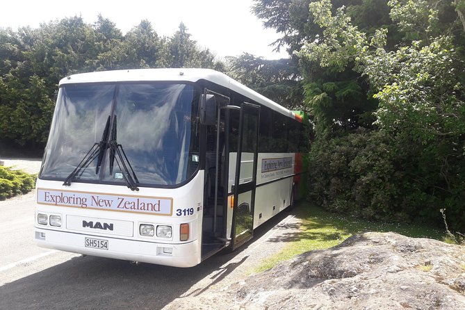 Dunedin Nature & City Tour – Full Day Cruise Excursion - The Botanic Garden changes with the weather
